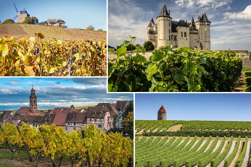 Les plus belles routes des vins de France